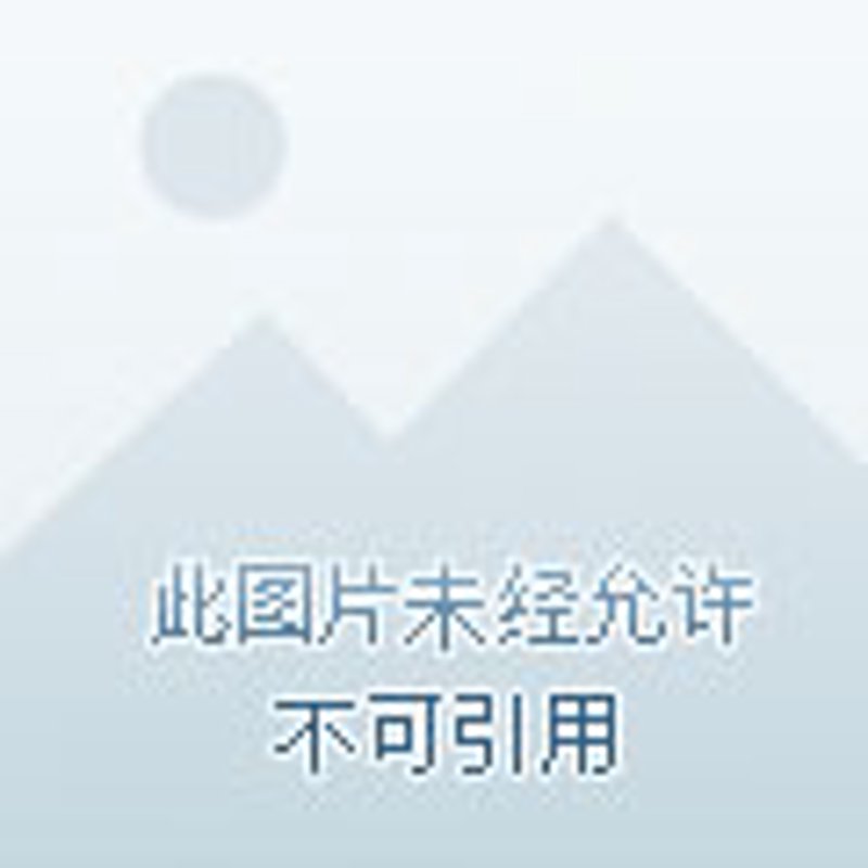 济宁幼儿园教育动态:拥抱变化与机遇